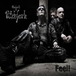 Project Pitchfork : Feel !